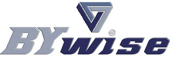 Bywise Logo
